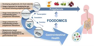 Understanding the Gastrointestinal Protective Effects of Polyphenols using Foodomics-Based Approaches